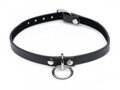 Collared-Vixen-Collar-Met-Ring