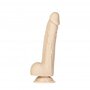 Addiction-Tristan-Dildo-Met-Zuignap-24-cm